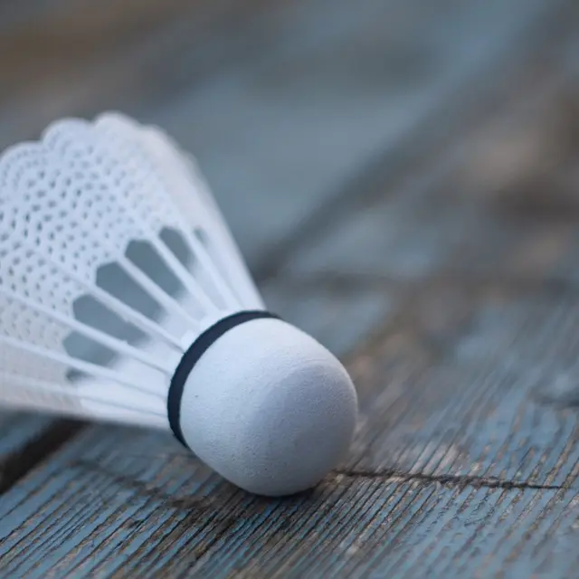 shuttlecock