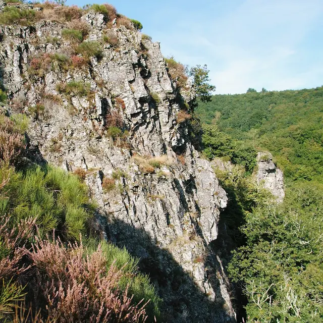 site Rouchilloux