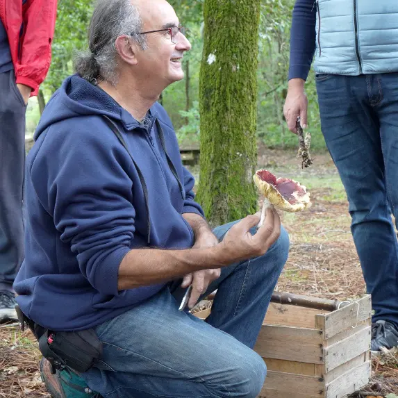 sortiechampignons