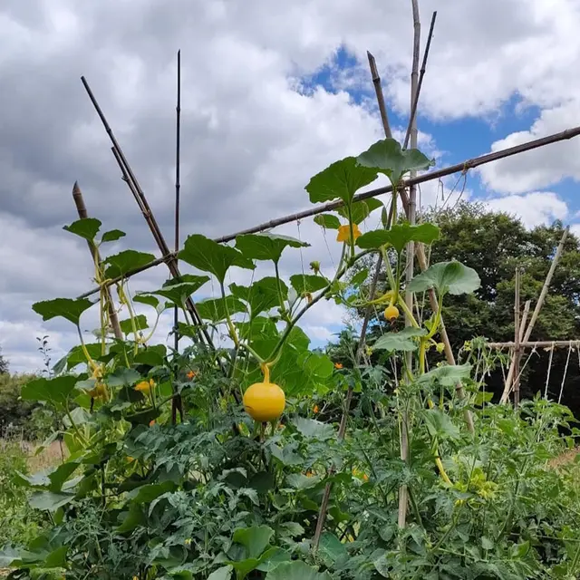Initiez vous à la permaculture