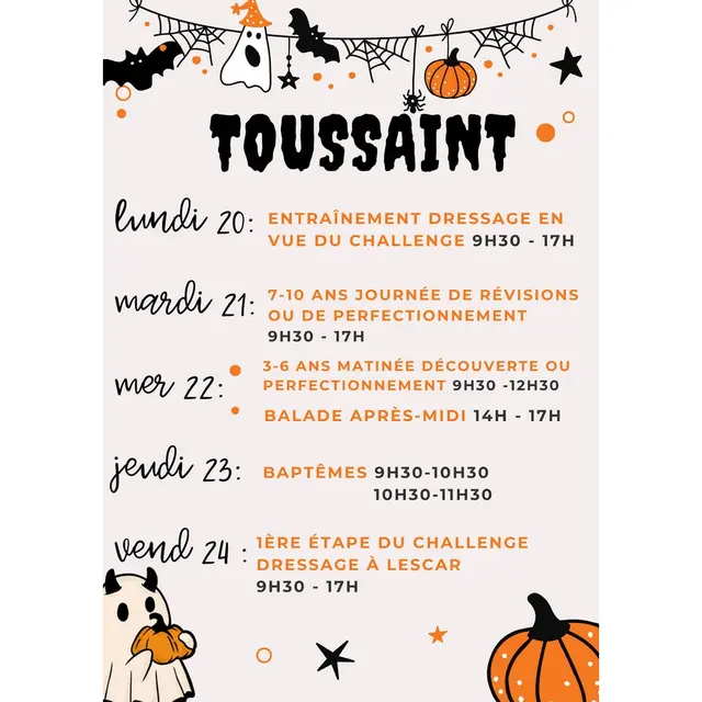 stage toussaint sem1