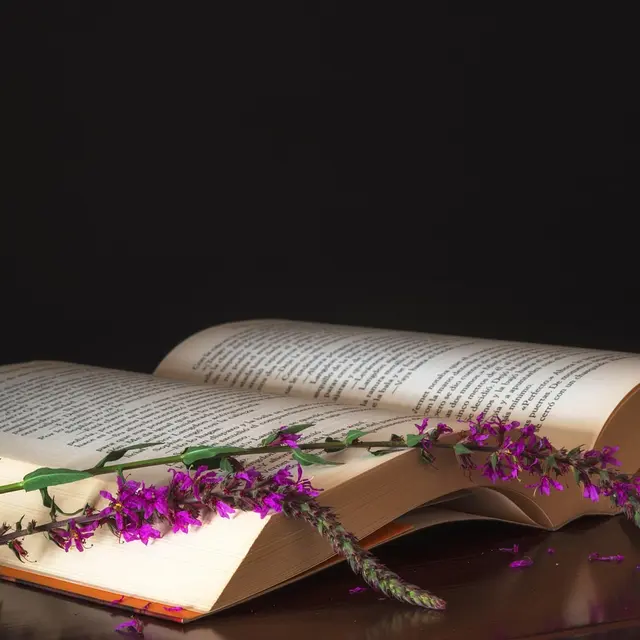 Lectures avec Les Amis des mots