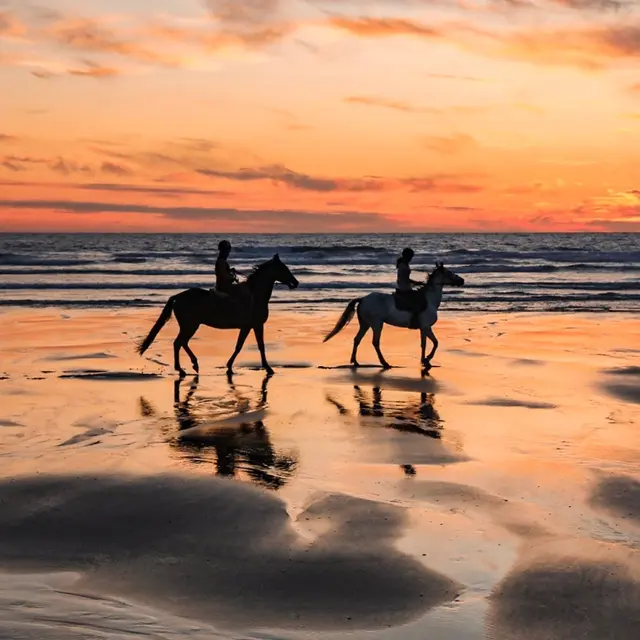 Sunset ranch seignosse