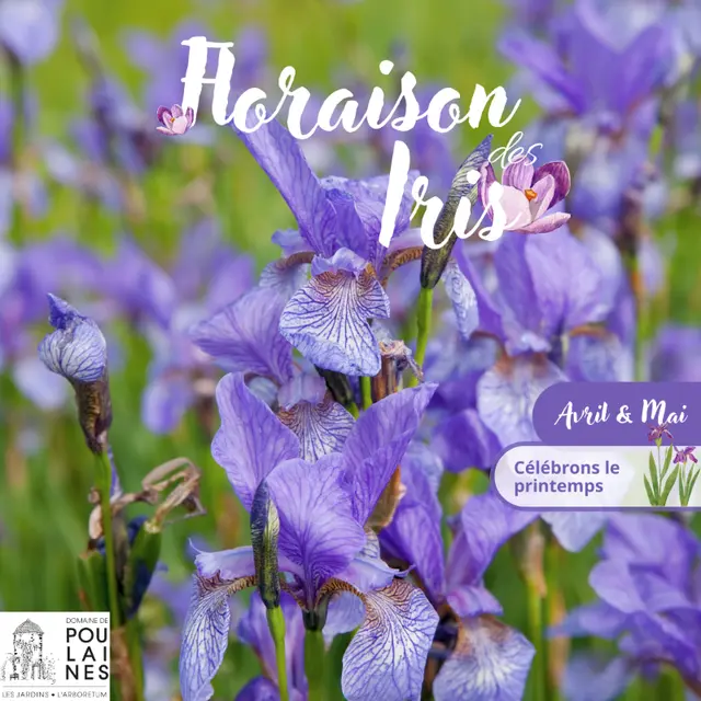 Affiche saison culturelle