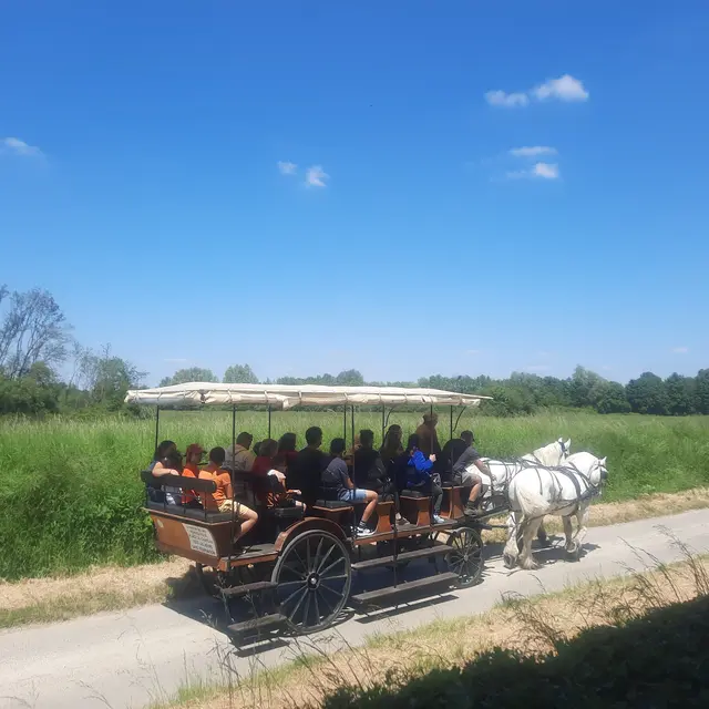 Fete_au_coeur_prairies_30ans_20250518