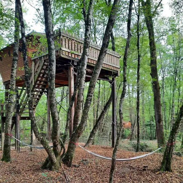 tourisme sologne-romorantin-chambresd'hotes-laugis nature