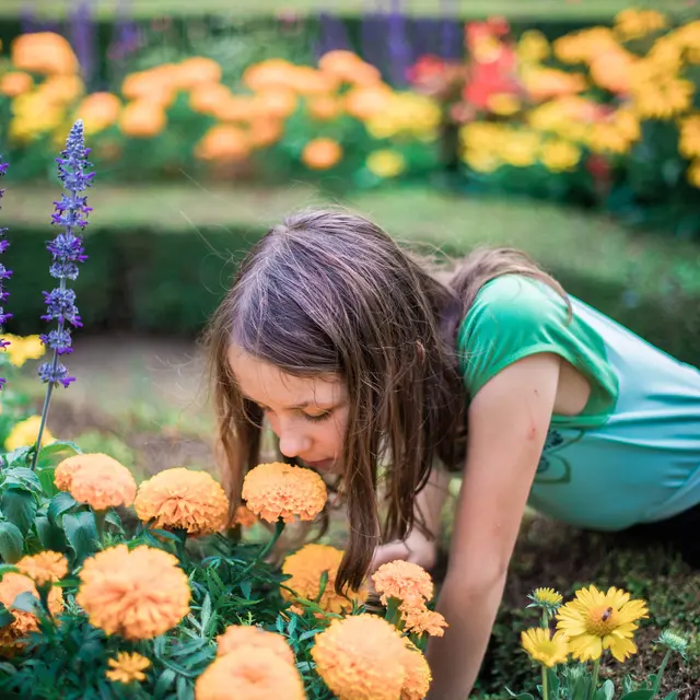 Château de Courtanvaux