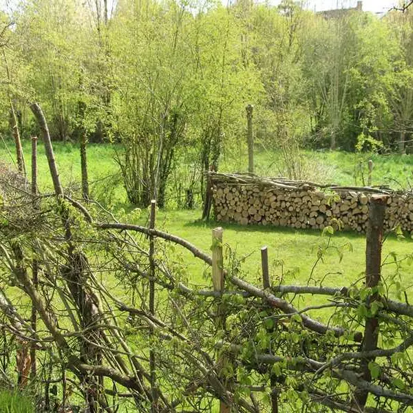 Plessage à la Maison Botanique