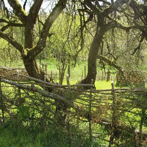 Plessage à la Maison Botanique