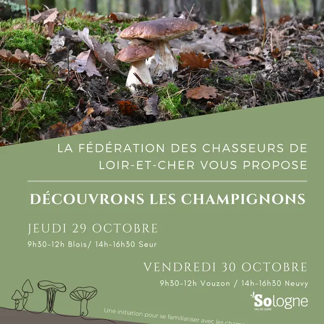 Découvrons les champignons - 1