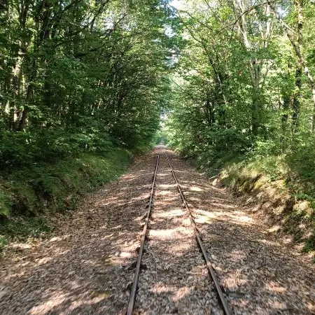 Vélorail de Valençay forêt de Gâtines