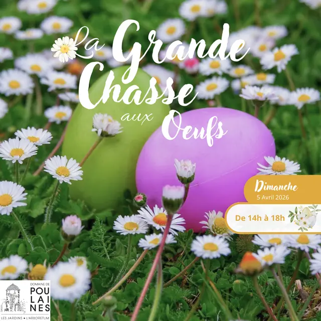 Affiches saison culturelle - 3