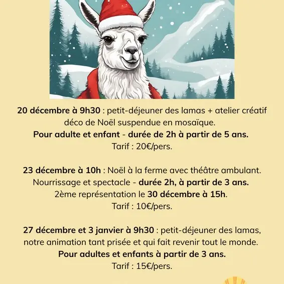 Affiche Noël LAMA EMOI