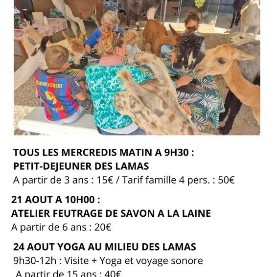 Affiche Août LAMA EMOI