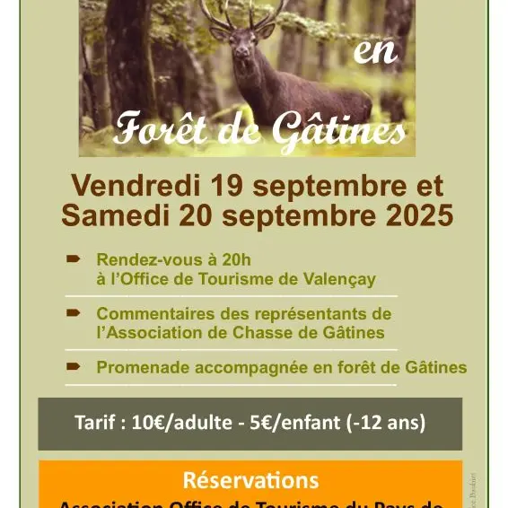 Affiche brame du cerf 2025