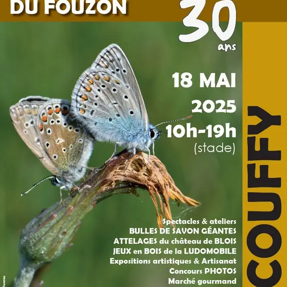 Affiche-fete-fouzon-2025