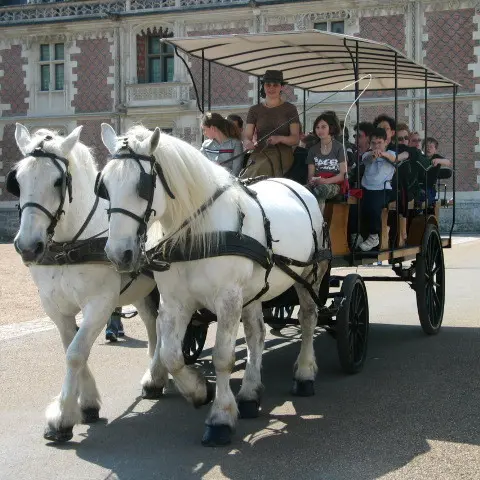 Attelages du chateau (c) Attelages du chateau