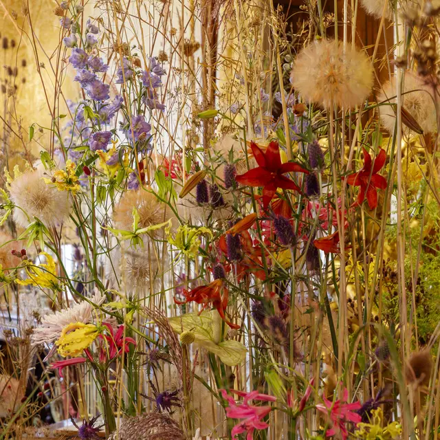 CHARLINE PRITSCALOFF - Quand fleurir est un art - Chaumont-sur-Loire ©E. Sander
