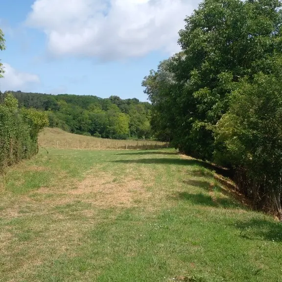 Camping-car à Trôo