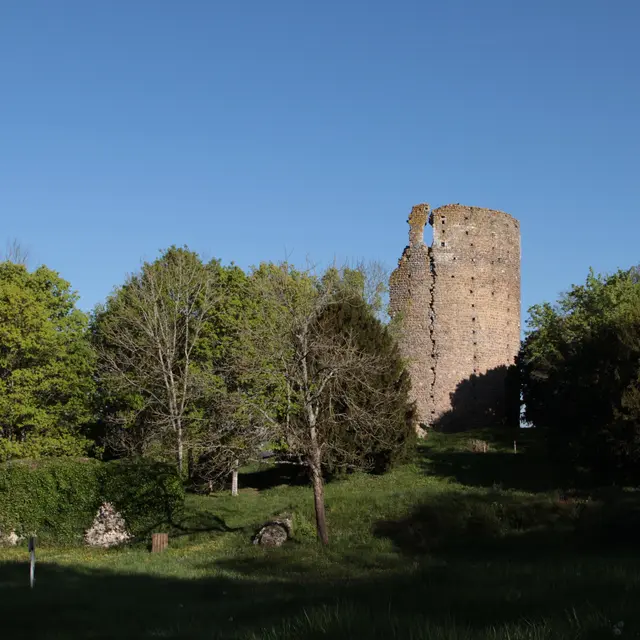 Chateau féodal de Fréteval