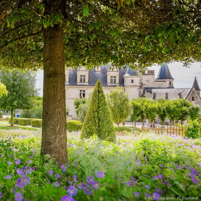 Chateau royal amboise Credit ADT Touraine JC Coutand 2028-131
