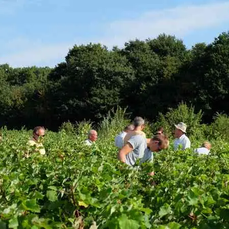 Conservatoire-Pineau-d-Aunis--OT-Pays-de-Vendome---8-