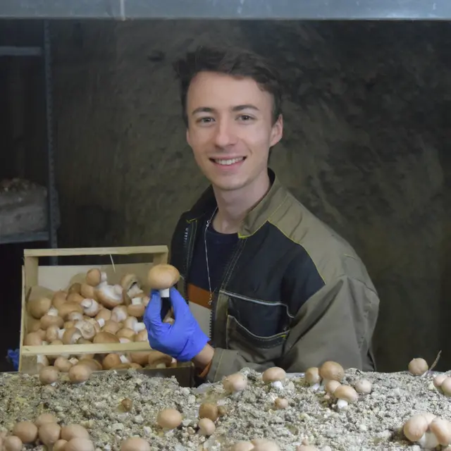 Cyril Garin - Producteur de champignons