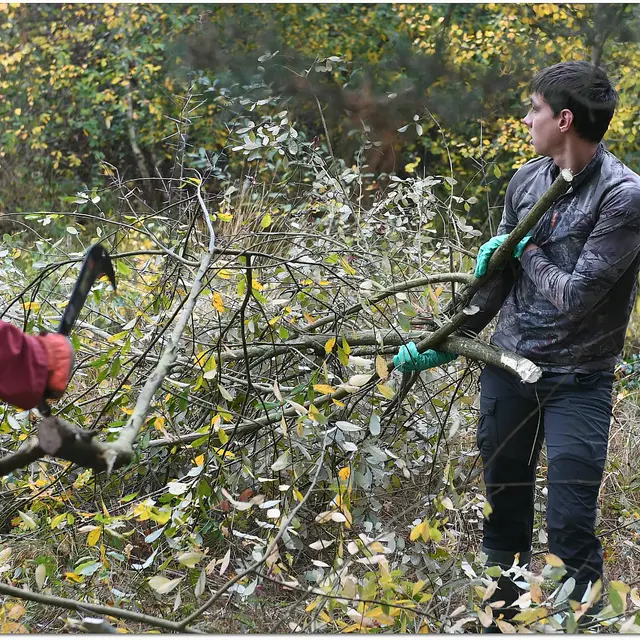 Chantier Automne Beaumont 101118