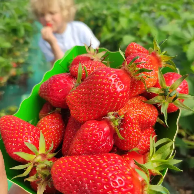 Découverte de la biodiversité et de la Ferme des trois chemins