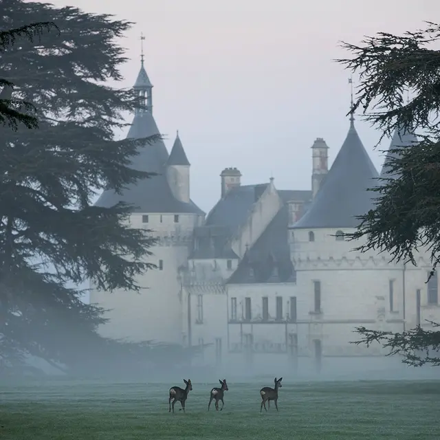 Domaine de Chaumont-sur-Loire_Rêves d'antan