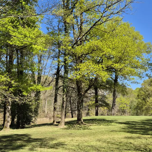 Domaine des Aulnaies gite Touraine Cottage 5