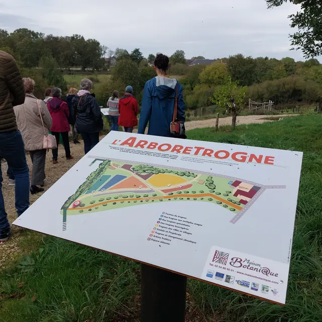 Arboretrogne