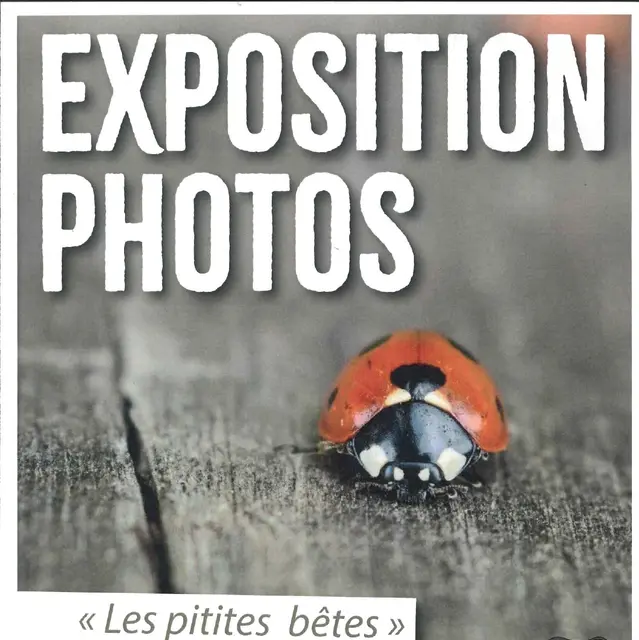 Expo_page-0001