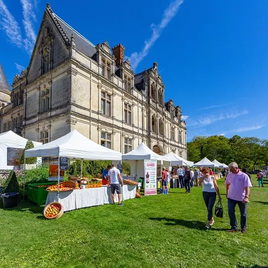 Festival-de-la-Tomate-Bourdaisiere--Credit-Borja-Merino-128-BD