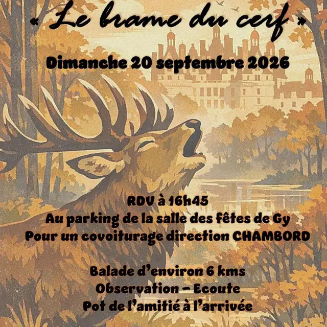 Gy-Brame-du-Cerf-_2_