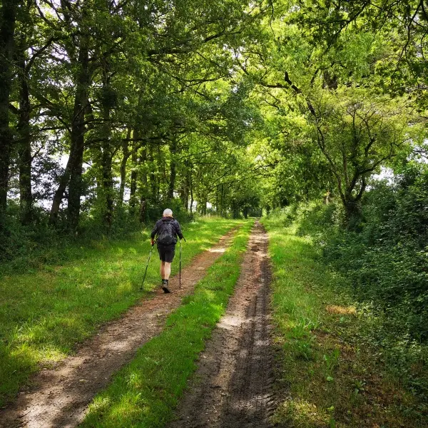chemin randonnée