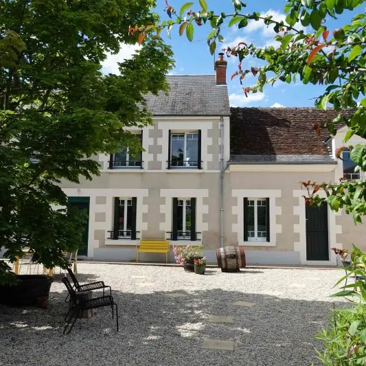 Les hirondelles du moulin