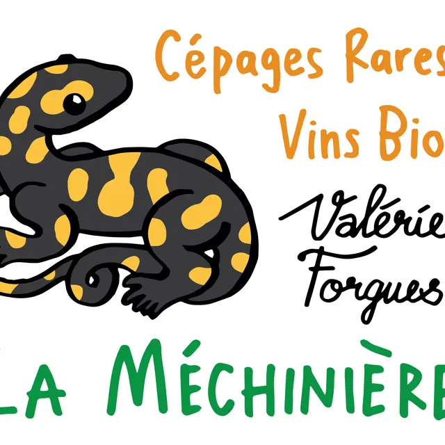 web-logo-VF