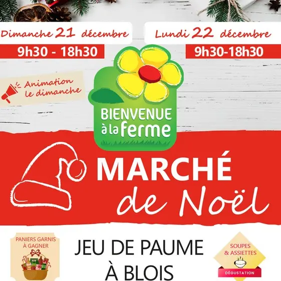 Marche-des-producteurs-blois