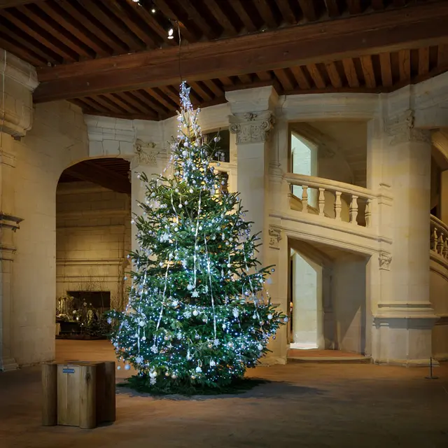 Noël-2015---Chambord-©-Léonard-de-Serres-(3)