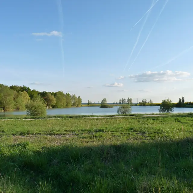 plan d'eau de Bois Vigneau