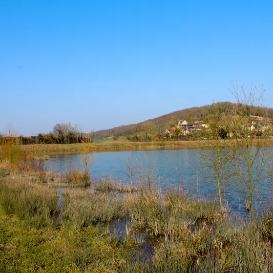 Plan-d-eau-communal-souge©Federation-Peche-41-web