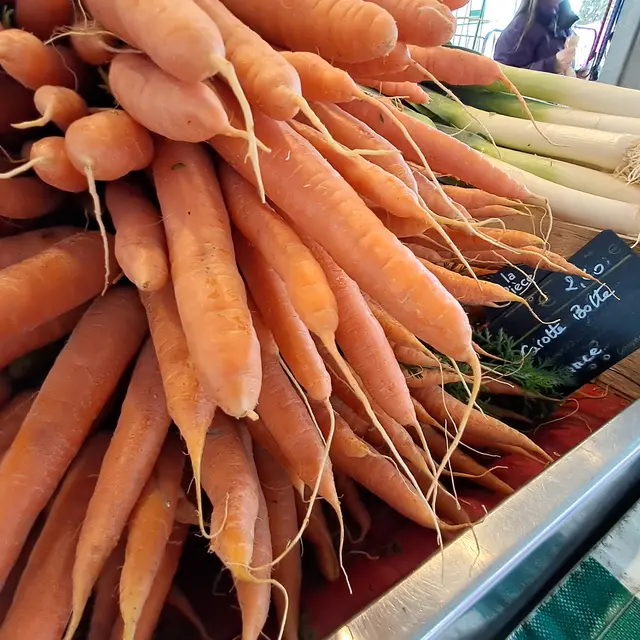 Carottes