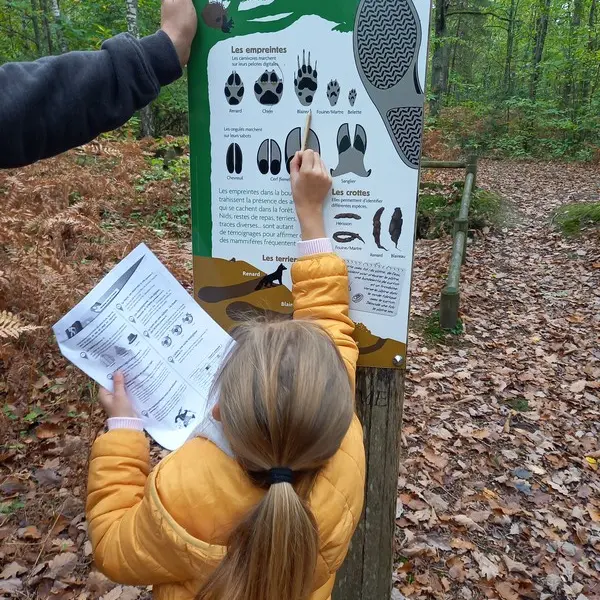 Randoland Bois de l'Oratoire