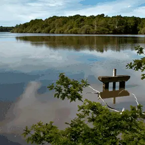 Tourisme-de-nature-sites-et-itineraires-loir-et-che