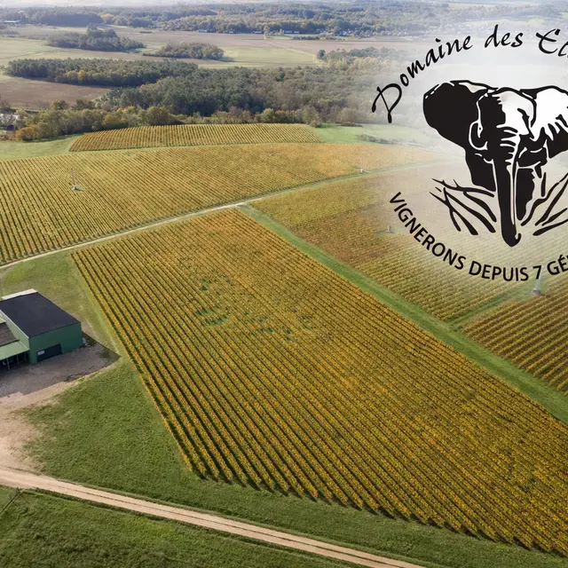 Visuel 2026 - Domaine des Elephants