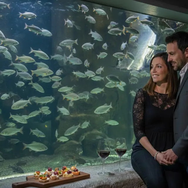 templates (297 x 210 mm) - 26