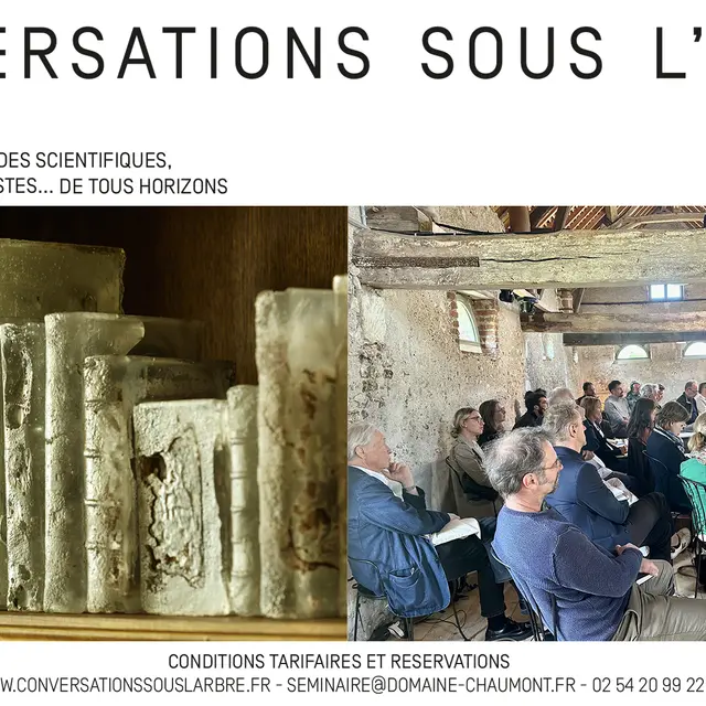 Conversations sous l'arbre