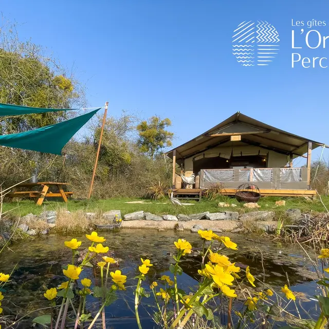 environnement lodge2022