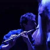 Spectacle équestre